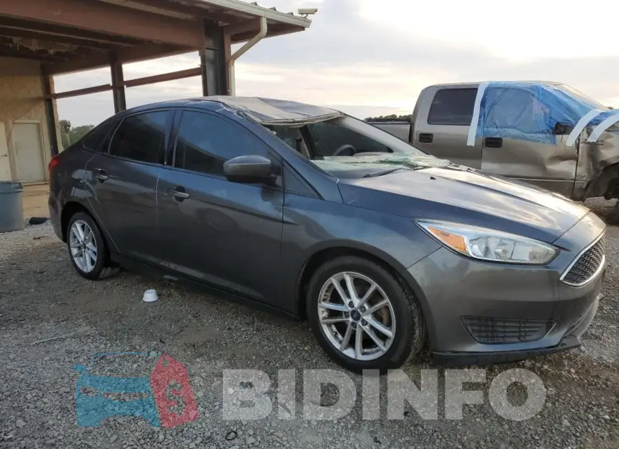 1FADP3F24JL316997 Photo# 4