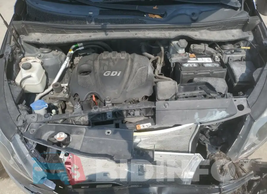 KNDPB3AC2G7819290 Photo# 11