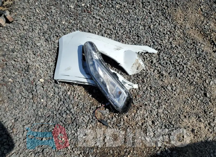 1G1ZD5ST2RF193559 Photo# 12