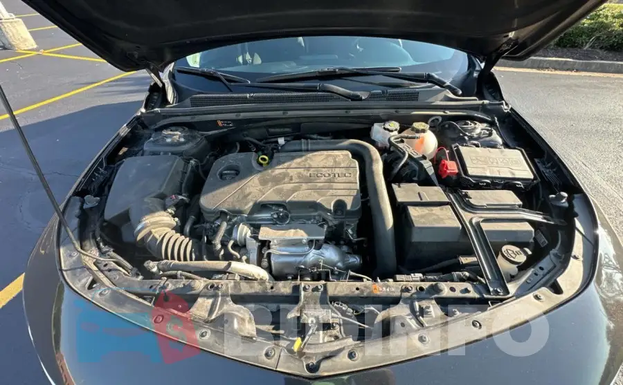 1G1ZD5STXPF231441 Photo# 7