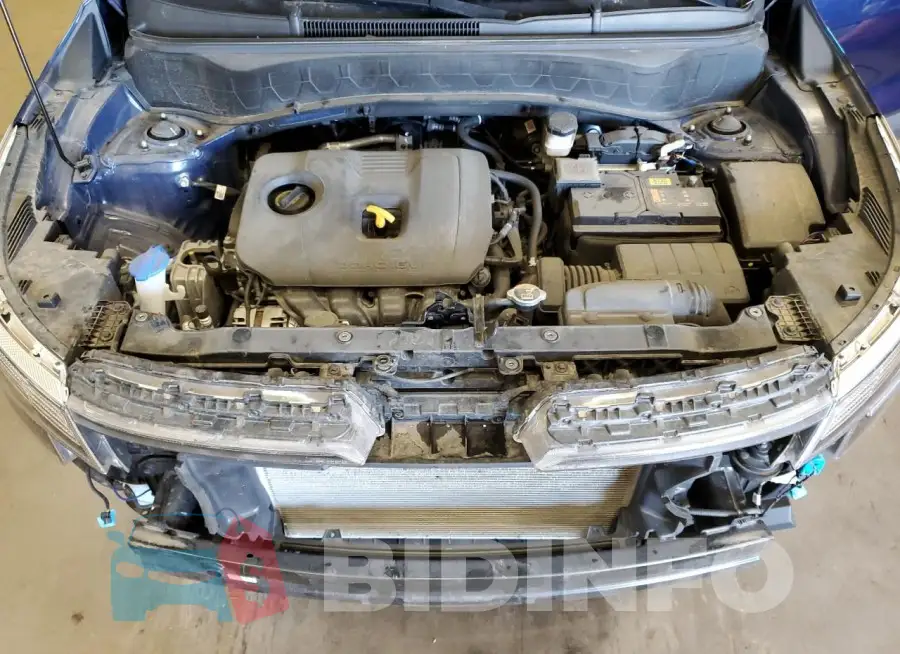 KNDERCAA2M7165033 Photo# 12