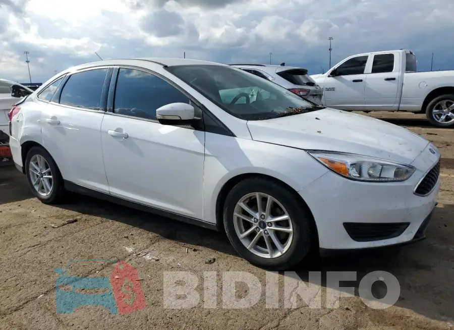 1FADP3F20GL373478 Photo# 4