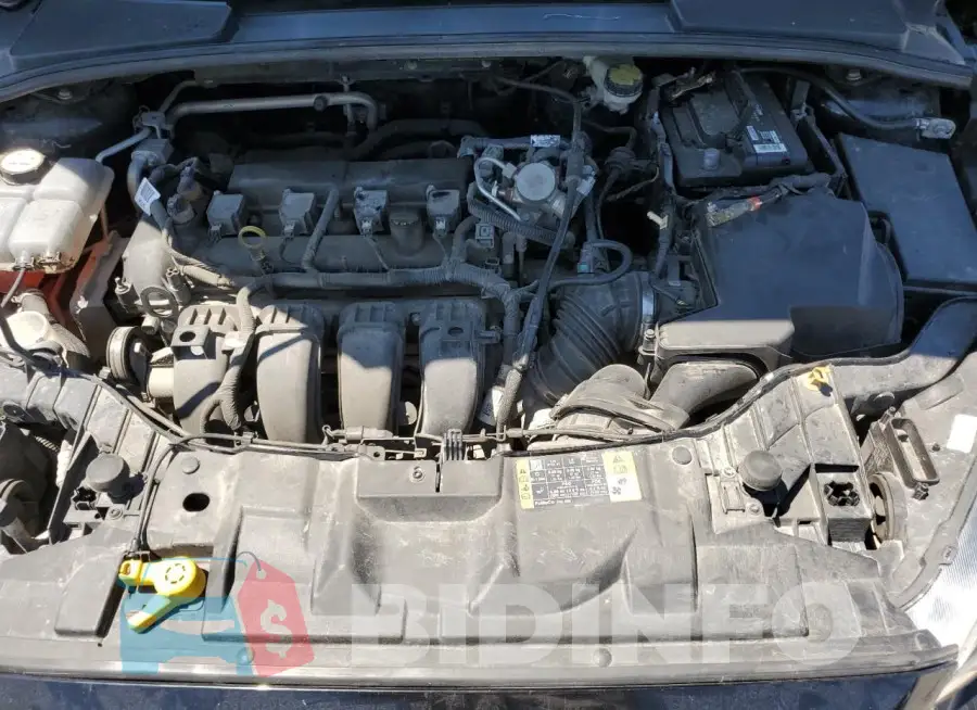 1FADP3F25GL384735 Photo# 11