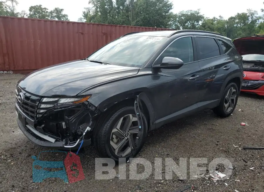 5NMJFCAEXPH261225 Photo# 1