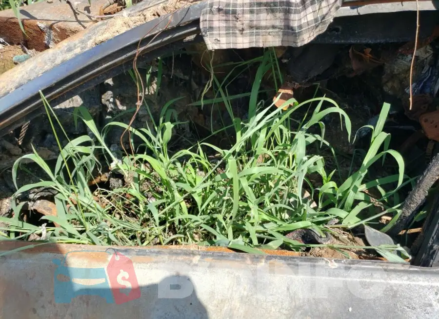 4S3BNEN67G3002700 Photo# 7