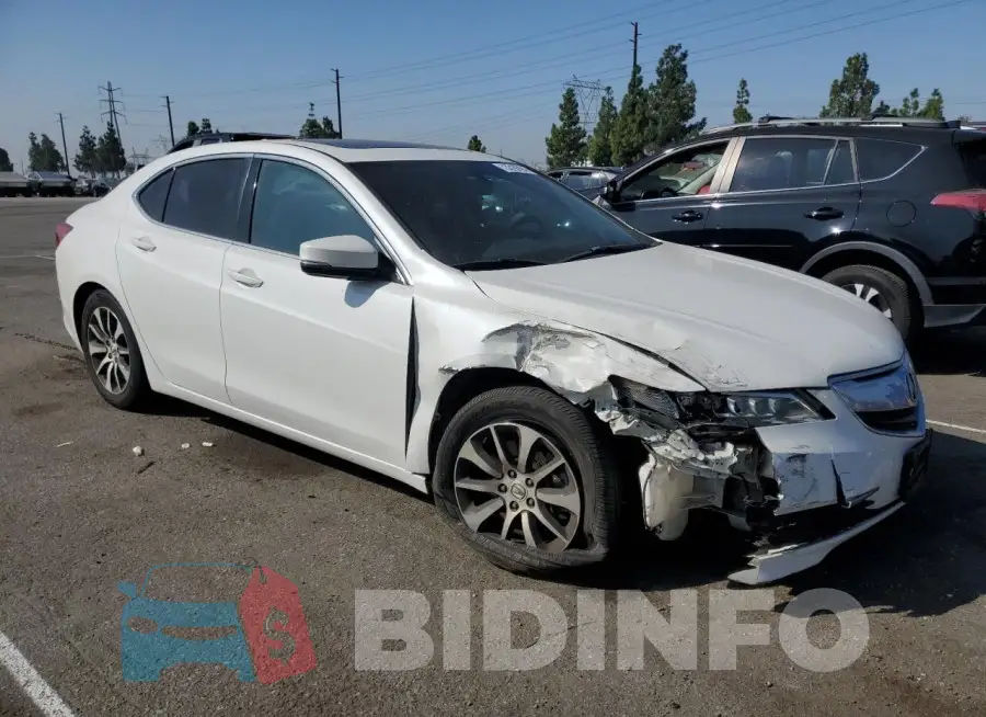 19UUB1F33FA016555 Photo# 4