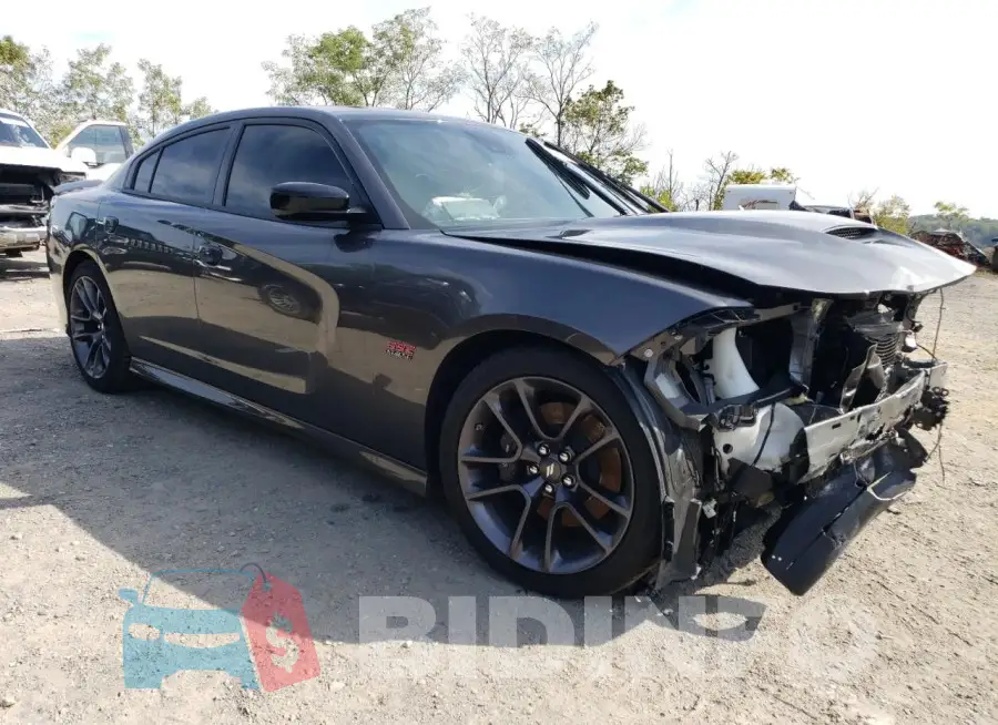 2C3CDXGJ8PH659835 Photo# 4