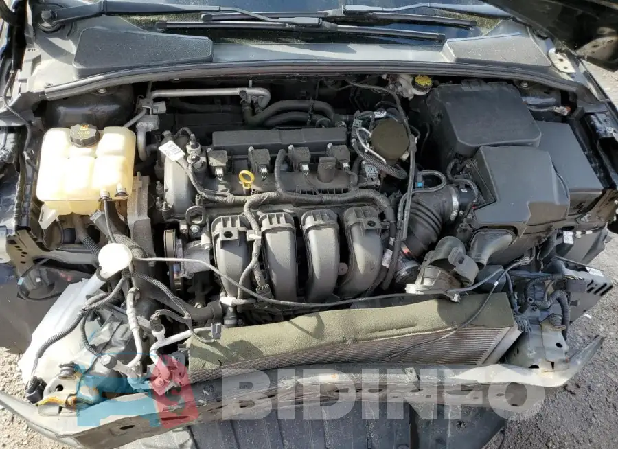 1FADP3F24GL265638 Photo# 11