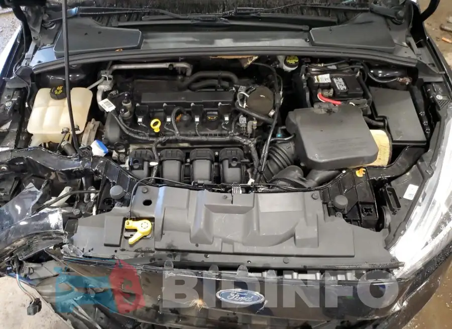 1FADP3N26GL228155 Photo# 11