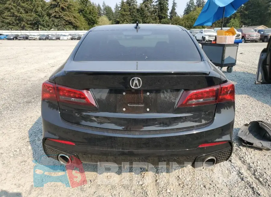 19UUB1F60KA800647 Photo# 6