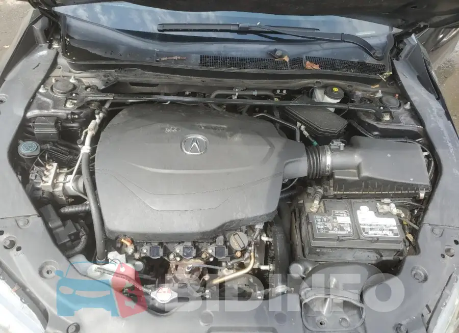 19UUB2F55FA010084 Photo# 11