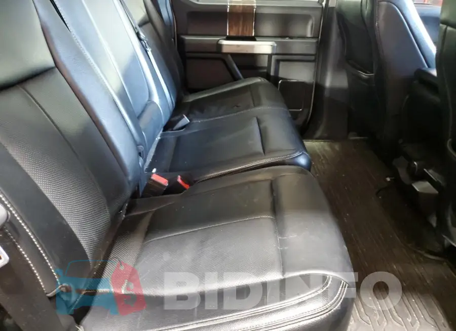 1FTEW1E43LFB74555 Photo# 10