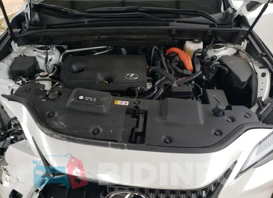 JTJGKCEZ9N5001527 Photo# 12