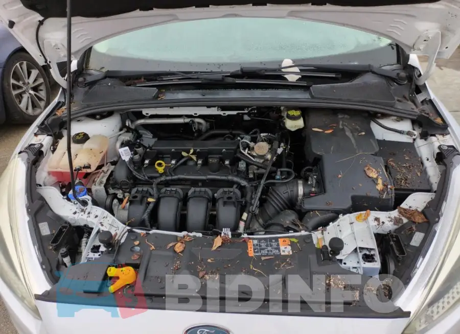 1FADP3F26HL202252 Photo# 11
