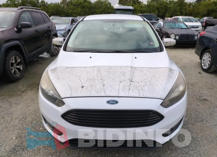 1FADP3FE5GL210951 Photo# 5