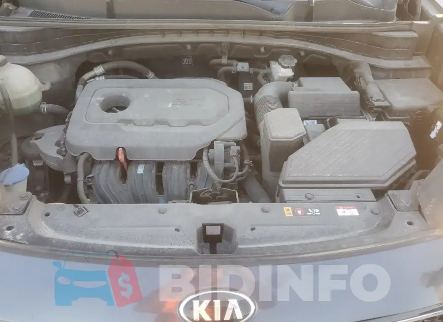 KNDPM3AC2L7719985 Photo# 12