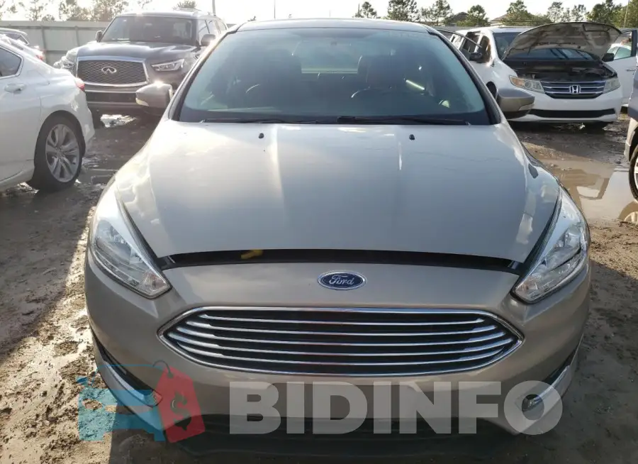 1FADP3J24GL219203 Photo# 5
