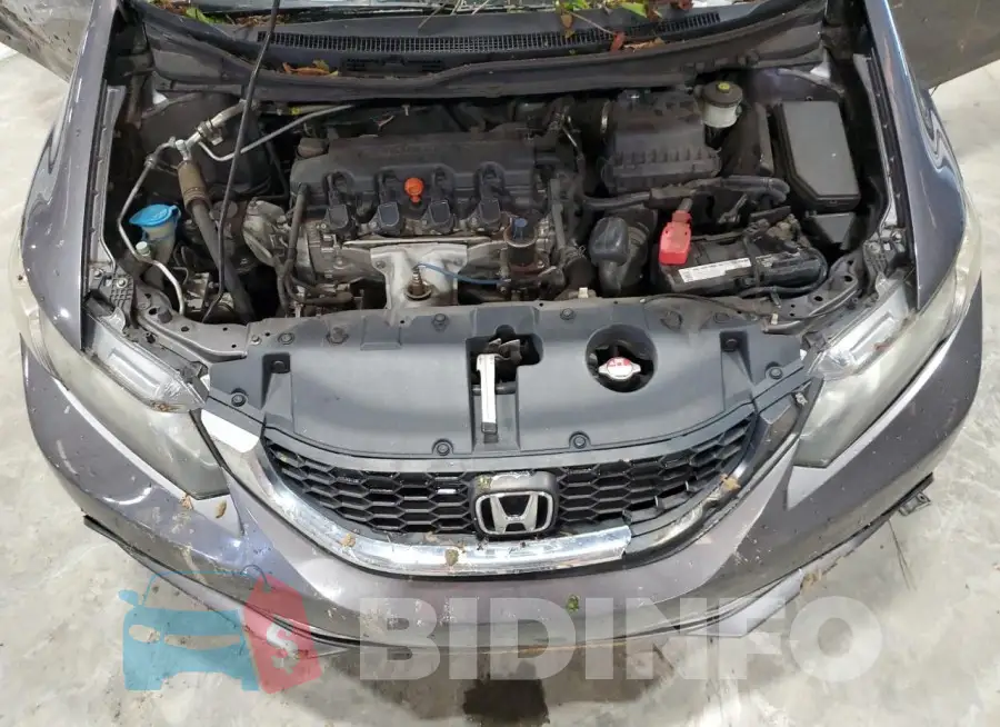 19XFB2F50FE105138 Photo# 11