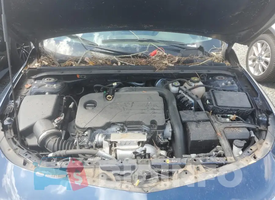 1G1ZD5ST5KF206441 Photo# 11