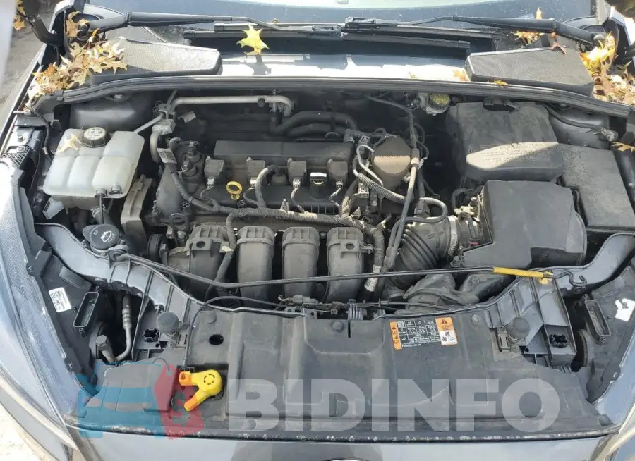 1FADP3F29GL275484 Photo# 11