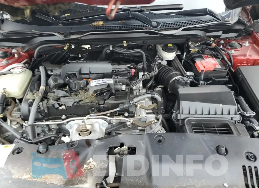 19XFC2F69KE018015 Photo# 11