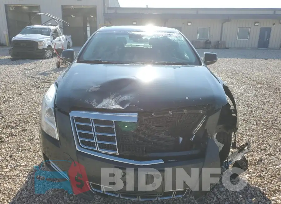 2G61M5S37F9120991 Photo# 5