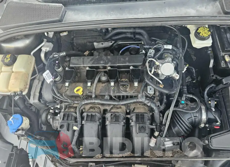 1FADP3M22HL213560 Photo# 7
