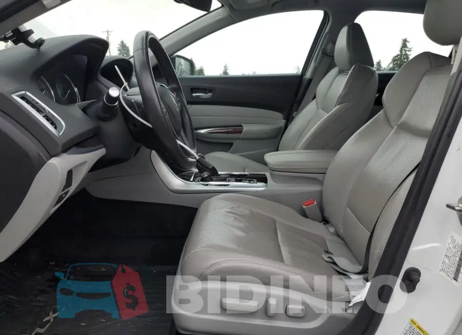19UUB1F52FA010229 Photo# 7
