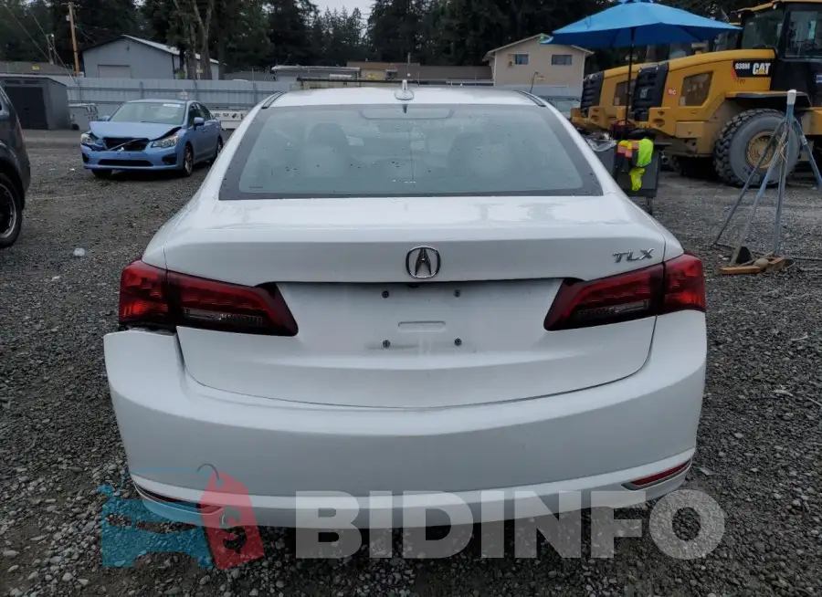 19UUB1F52FA010229 Photo# 6