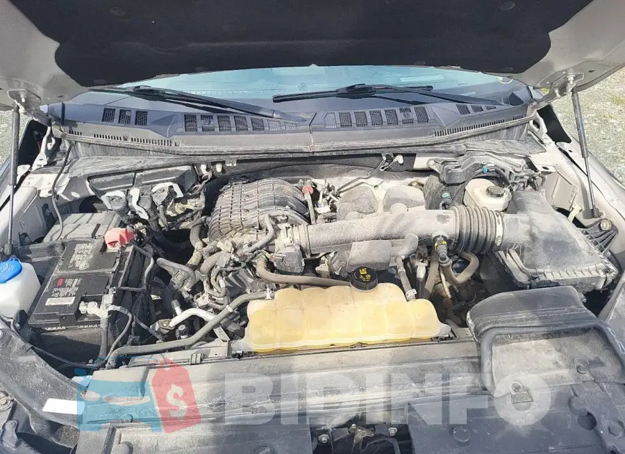 1FTEW1EB6KKD20189 Photo# 11