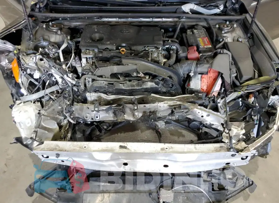 4T1C11AK2LU869269 Photo# 11