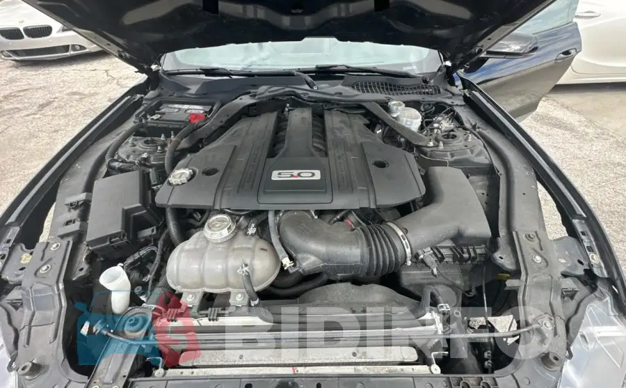 1FA6P8CF4K5201609 Photo# 7