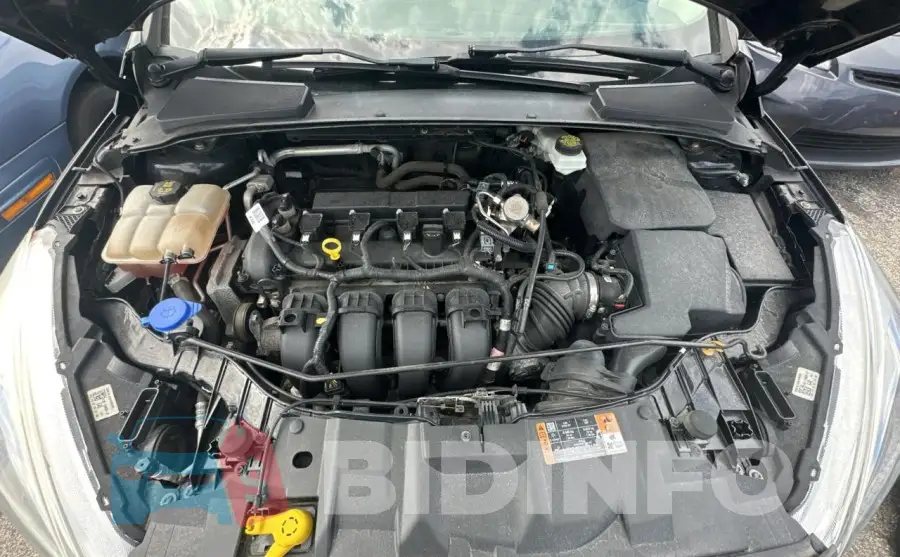 1FADP3F25HL220693 Photo# 7