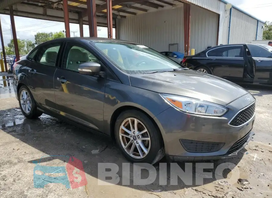 1FADP3F29GL304739 Photo# 4