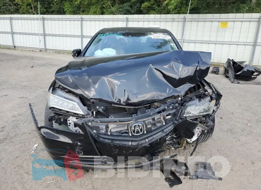 19UUB1F54FA004352 Photo# 5