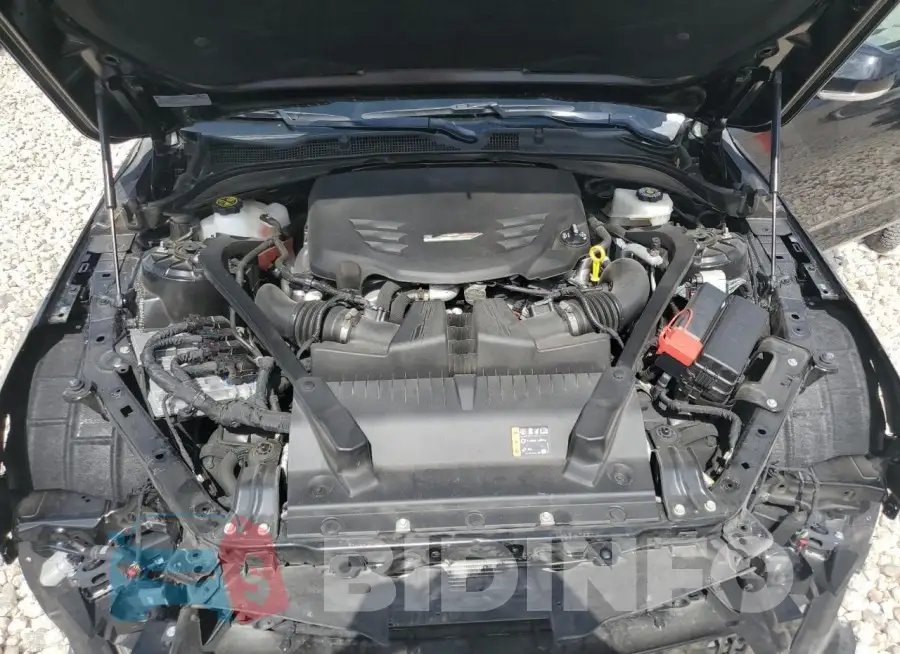 1G6D75RP2N0410951 Photo# 11