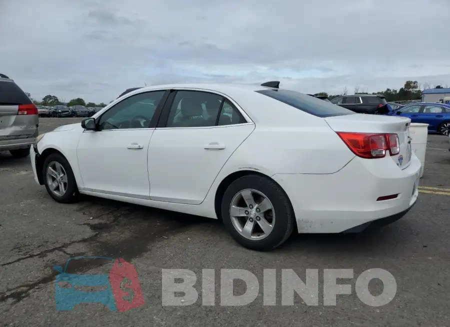 1G11A5SL3FF158840 Photo# 2