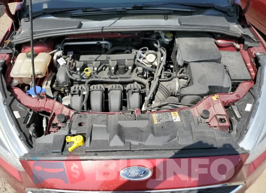 1FADP3F24GL405445 Photo# 11