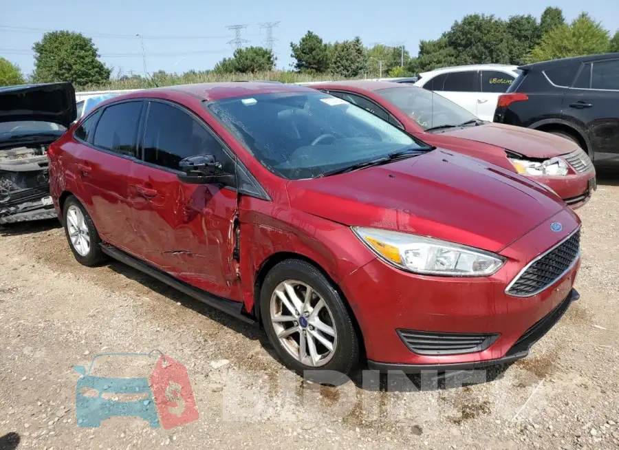 1FADP3F24GL405445 Photo# 4