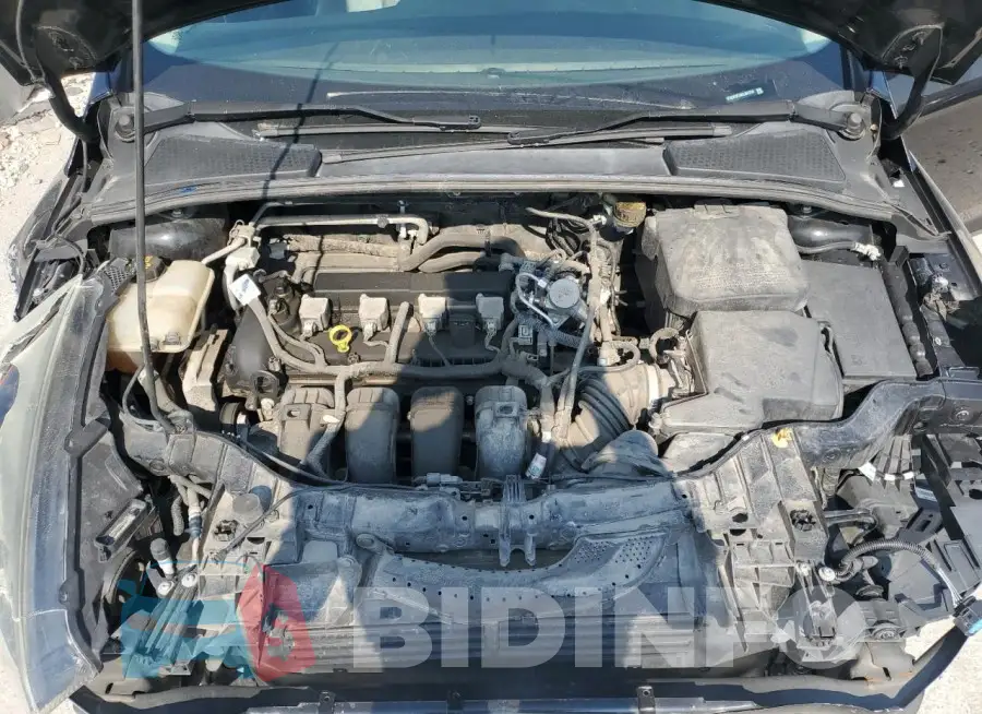 1FADP3F26GL361318 Photo# 11