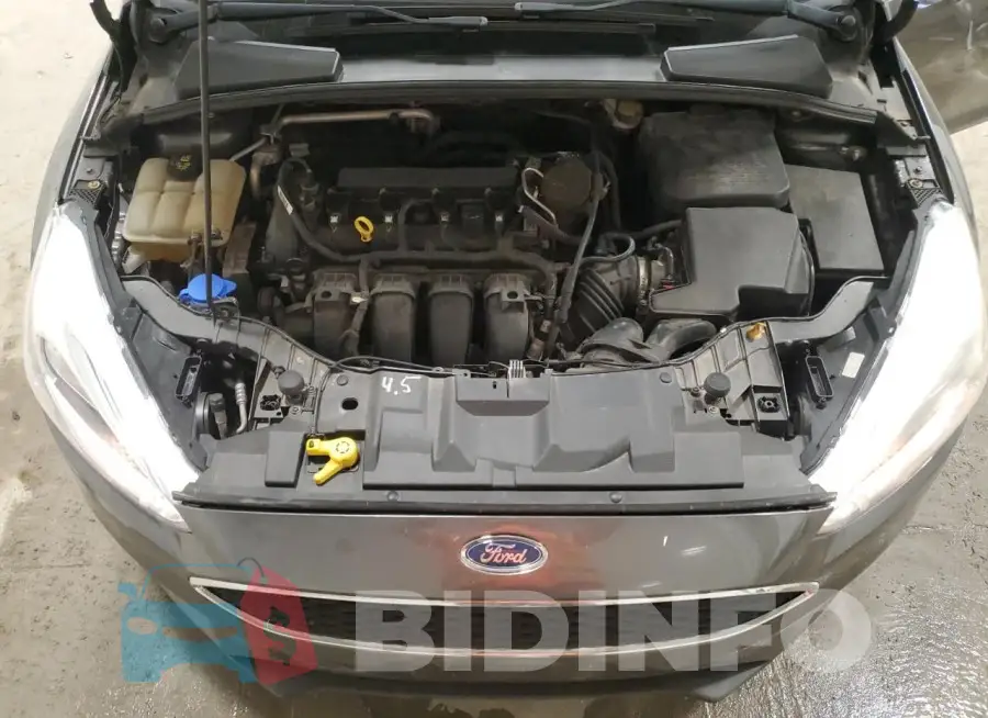 1FADP3F29GL261794 Photo# 11
