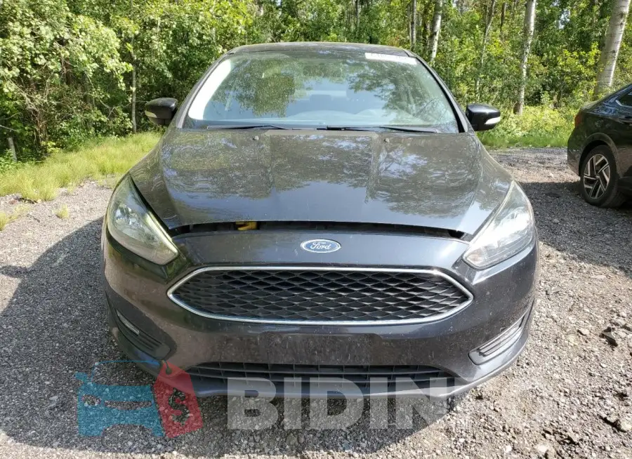 1FADP3F2XFL359814 Photo# 5