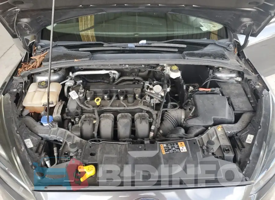 1FADP3M22HL241875 Photo# 11