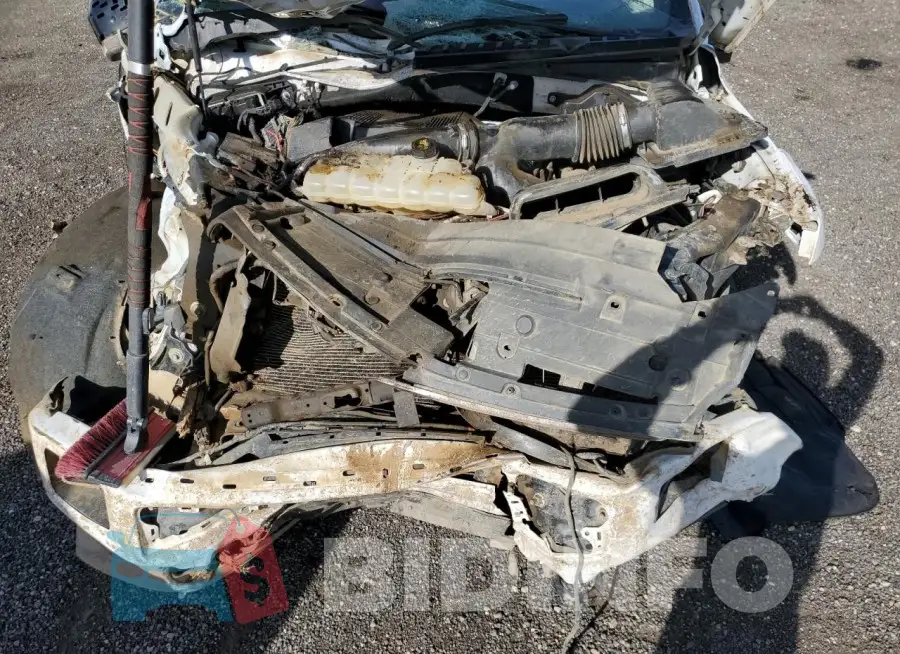 1FTFW1EG7JKE73646 Photo# 11