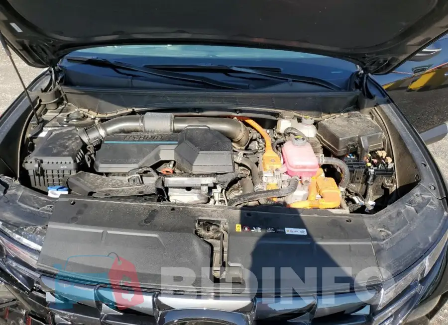 KM8JFCA11PU088941 Photo# 11