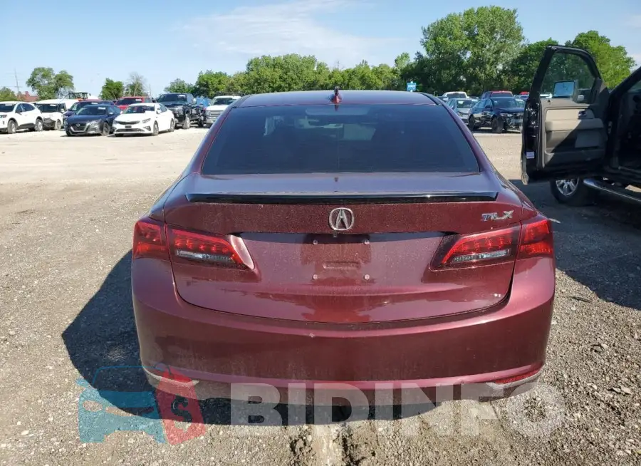 19UUB1F55FA014954 Photo# 6