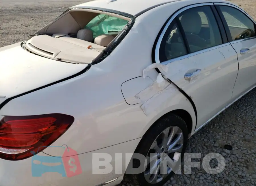 WDDZF4KB1KA559488 Photo# 10