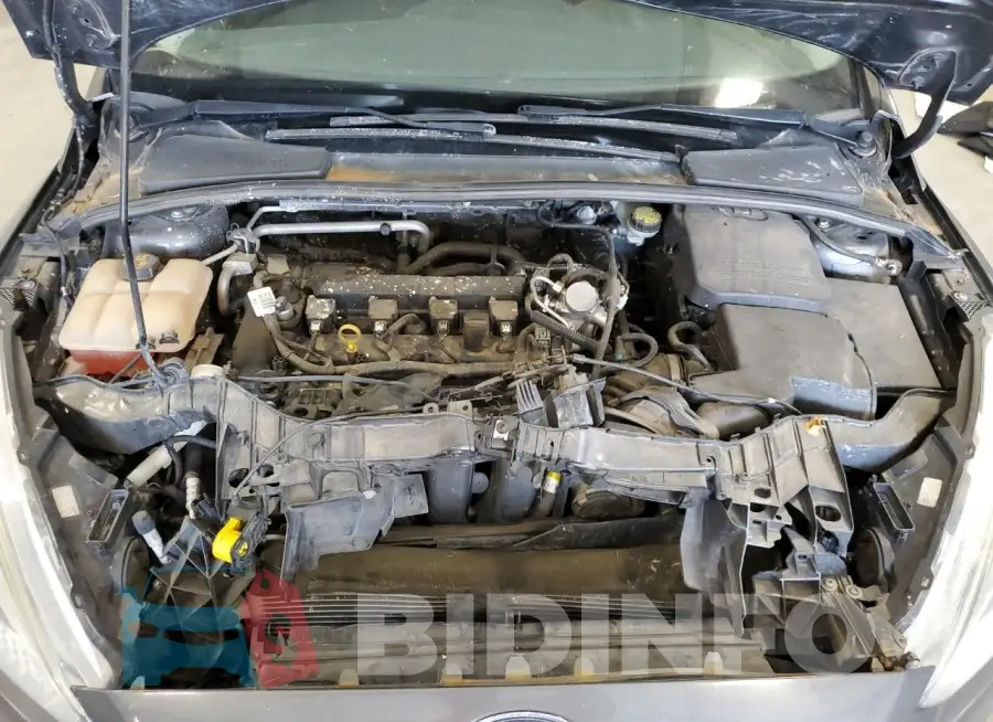 1FADP3F22GL318059 Photo# 11
