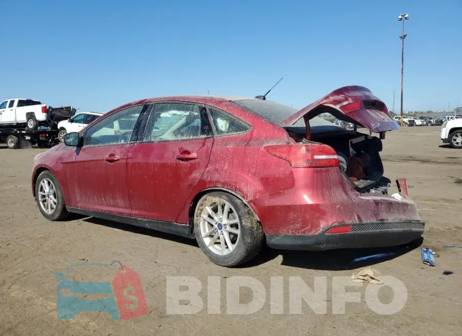 1FADP3F24GL208386 Photo# 2