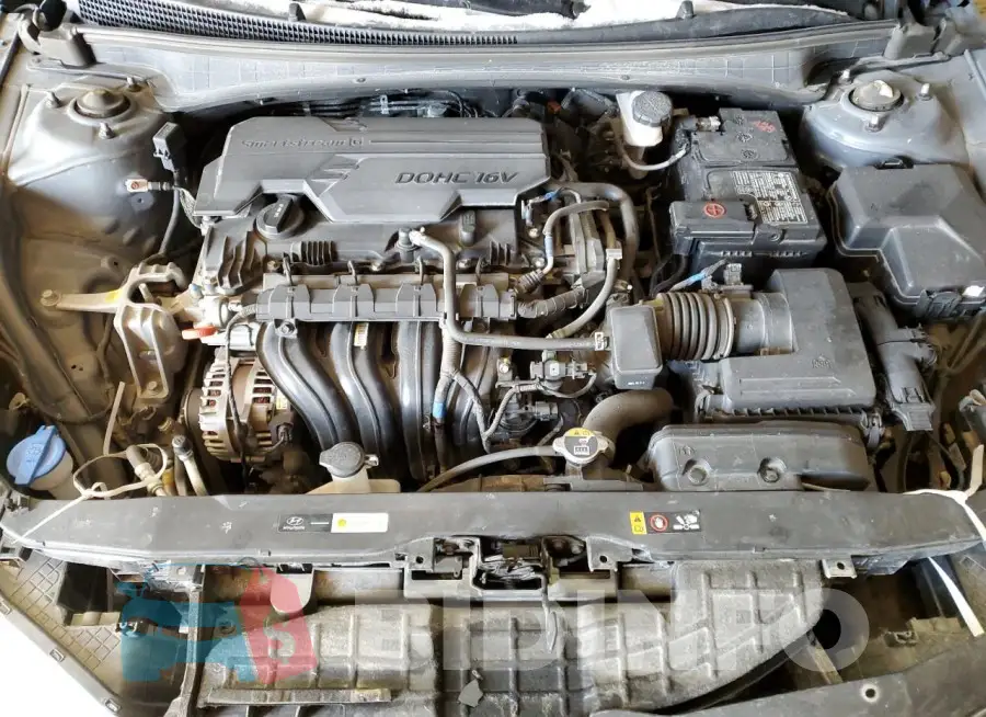 KMHLM4AGXMU167254 Photo# 11